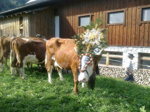 Apartamento Appartement Catrin Mit Wellnessbereich