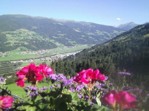 Hostal G�stehaus Rieser