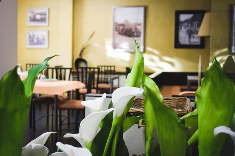 Hotel Casa El R�pido