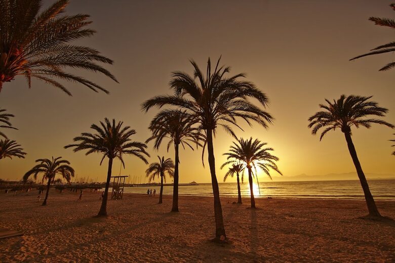 Mll Sahara Nubia Gobi Bay Hotel
