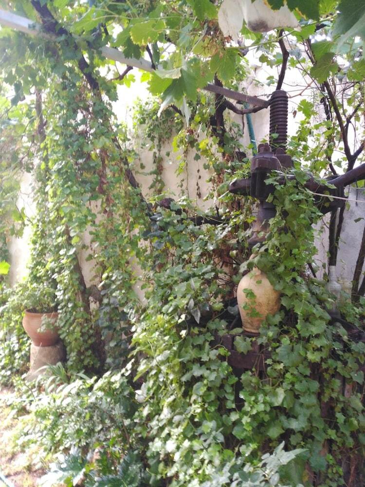 Casa Rural El Sue�o de Lucrecia