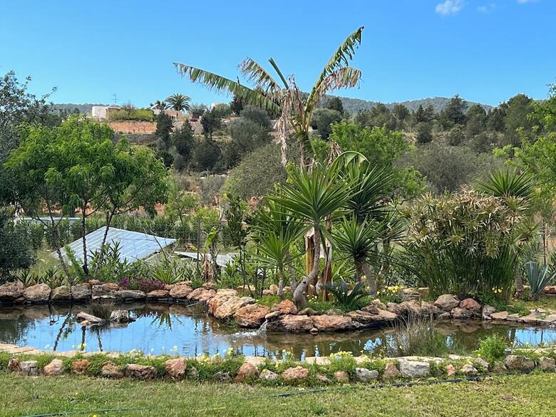 Finca Can Pepis