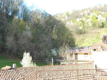 B&B La Ceramica Moline