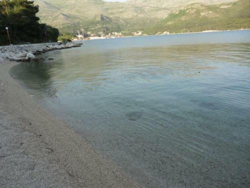 Hostal Guest House Pavkovic
