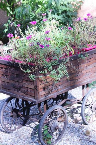 Bed & Breakfast Aux Berges De La Thur