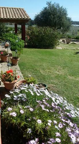 Apartamento Soleesale Appartamenti E Camere Per Vacanza