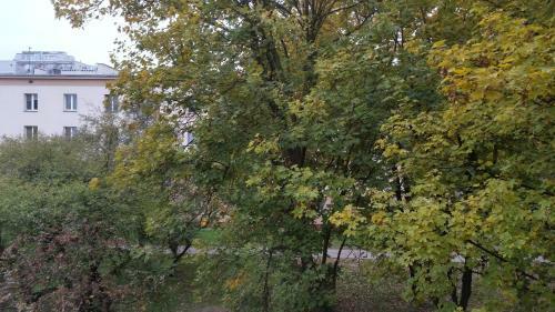 Apartament Waszyngtona