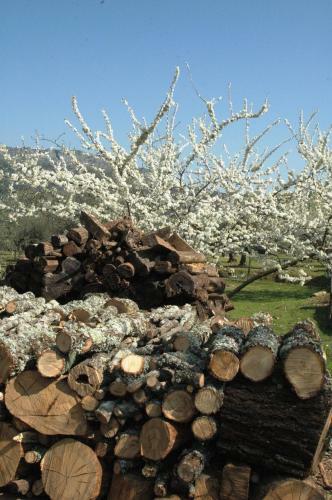 Hostal Quinta Do Vaqueirinho - Agro-turismo