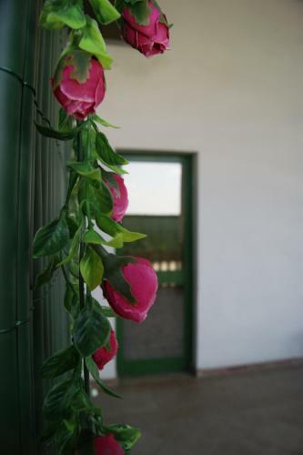 Agroturismo Agriturismo La Valbona