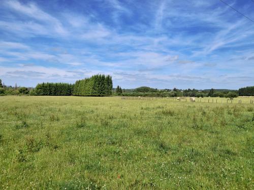Les Hirondelles En Fagne Fleurie
