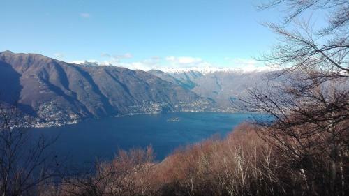 Hotel Albergo Diana