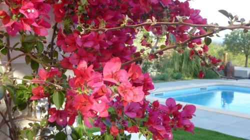 L Olivadou B&B