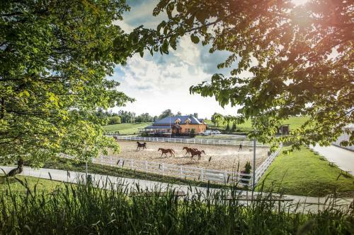 Agroturismo Hotel Horse Riding