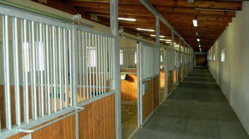 Agroturismo Hotel Horse Riding