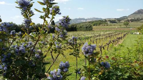 Bed & Breakfast La Dentelli�re