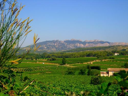Bed & Breakfast La Dentelli�re