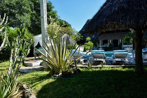 Bed & Breakfast Luna House Moyo Wa Dunia Ltd