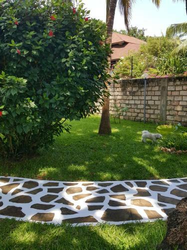 Bed & Breakfast Luna House Moyo Wa Dunia Ltd