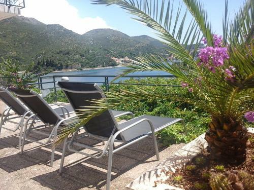 Apartamentos Villa Ivanka