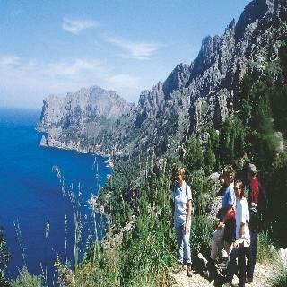 Agroturismo Hotel Rural Predio Son Serra