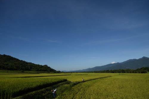 Bed & Breakfast Lost And Find Homestay