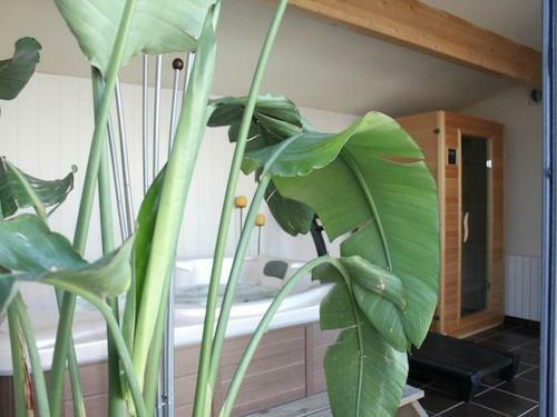 Bed & Breakfast Entre Mer Et Vignes