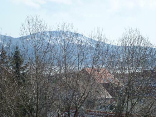 Bed & Breakfast Edelweiss Panzi�