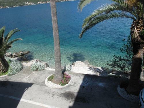 Apartments Jasmina