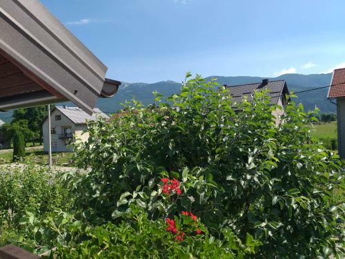 Hostal Guest House Ruza