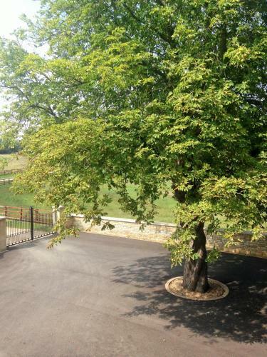 Agroturismo Kilthorpe Grange Bed & Breakfast