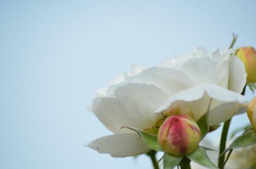 Agroturismo Kilthorpe Grange Bed & Breakfast