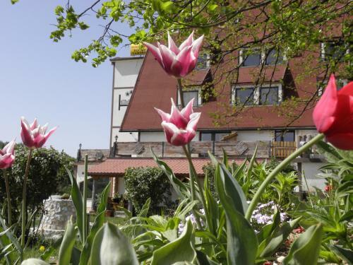 Hostal Pansion Winnetou