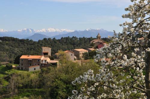 Bed & Breakfast Fiore Di Machja