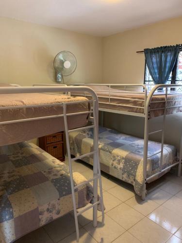 Albergue Sana El Jardin Secreto