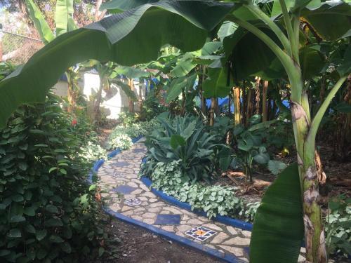 Albergue Sana El Jardin Secreto
