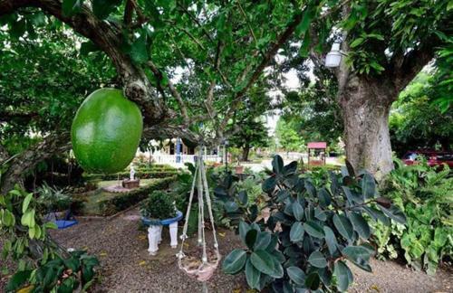 Albergue Sana El Jardin Secreto