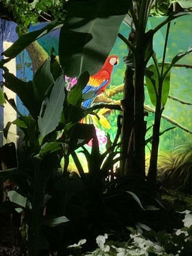Albergue Sana El Jardin Secreto