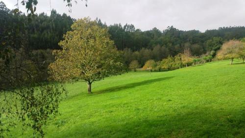 Agroturismo Casa Rural De Gra�a Da Acea