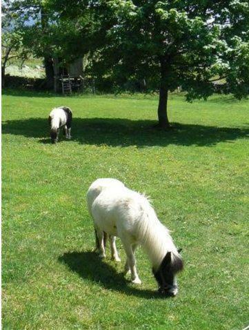 Bed & Breakfast Le Moulinou