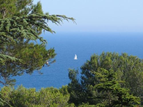 R�sidence Grand Bleu Vacances - Les Pescalunes