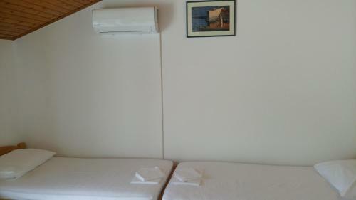 Hostal Guesthouse Budima
