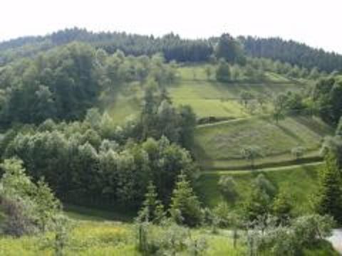 Agroturismo B�hlbauernhof