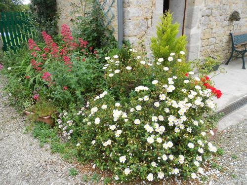 Bed & Breakfast Ferme Manoir La Fiere
