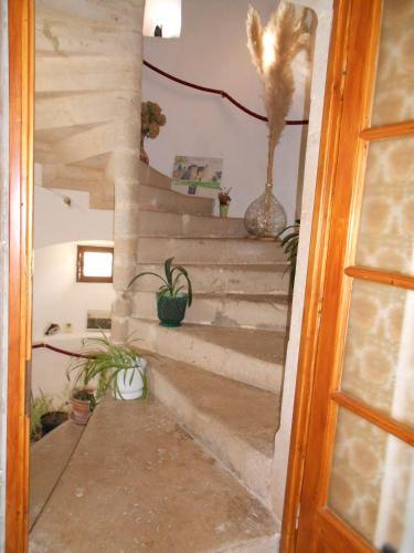 Bed & Breakfast Ferme Manoir La Fiere