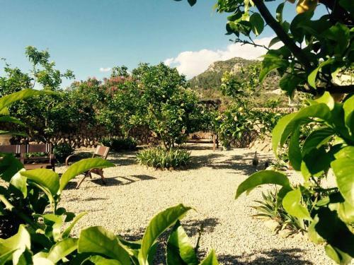 Agroturismo Finca Can Paulino