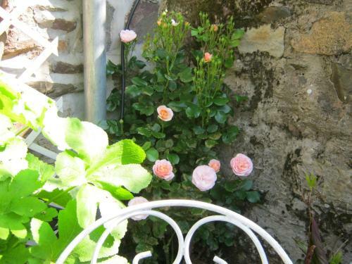 Bed & Breakfast Chambres Hotes Saint Yves