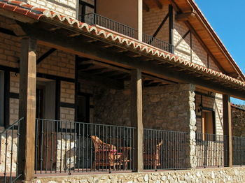 Apartamento Las Caba�as De La Vera