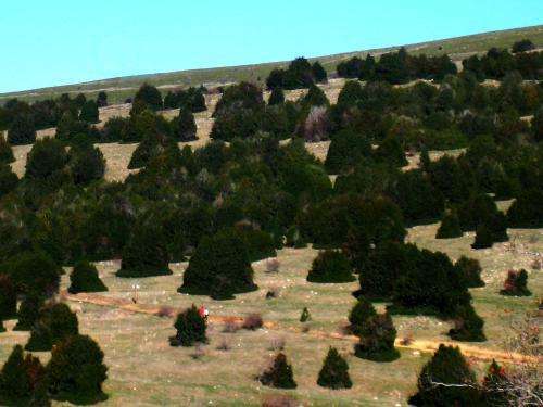 Agroturismo Casa Rural Pati�o