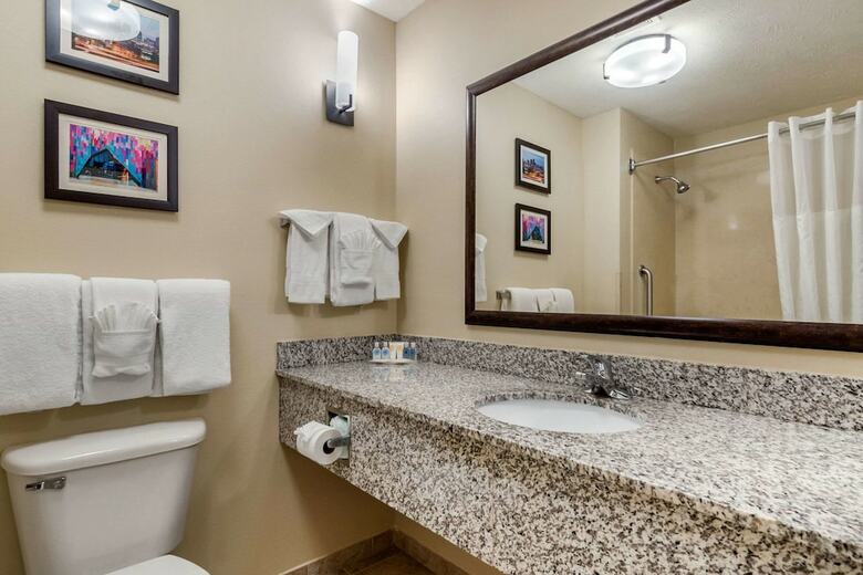 Hotel Comfort Suites Speedway - Kansas City