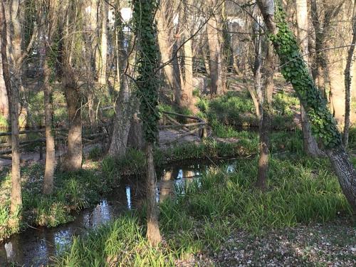 Agroturismo Casa Rural Nacimiento Del Hu�znar